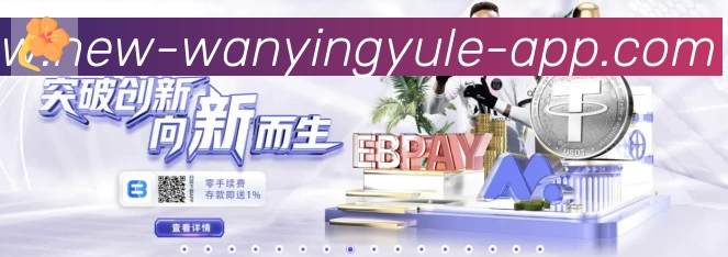 互动解说服务